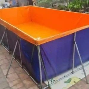 Bể bạt PVC nuôi cá hình chữ nhật, lòng cam vỏ xanh, được dựng trên bộ khung kim loại chắc chắn.