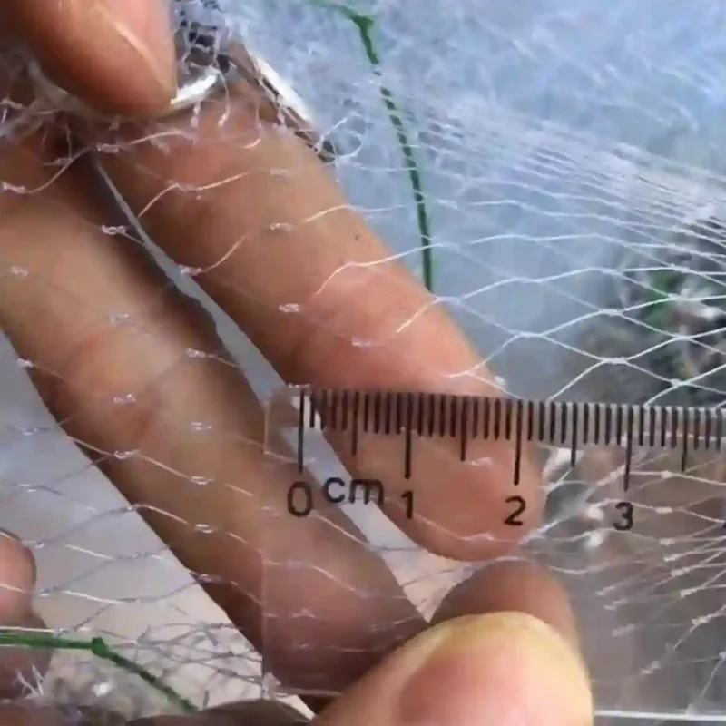Đo kích thước mắt lưới của chài bắt tép, cho thấy mắt lưới nhỏ khoảng 1.5cm.