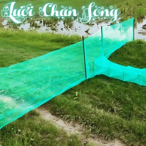 Dớn chặn sông hiệu suất cao với thiết kế tối ưu, giúp tận thu cá tôm trong một lần đặt