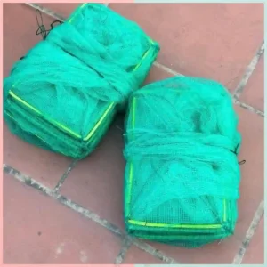 Hai chiếc lồng bát quái đã được gấp gọn, bó lại cẩn thận, sẵn sàng để sử dụng hoặc cất giữ.