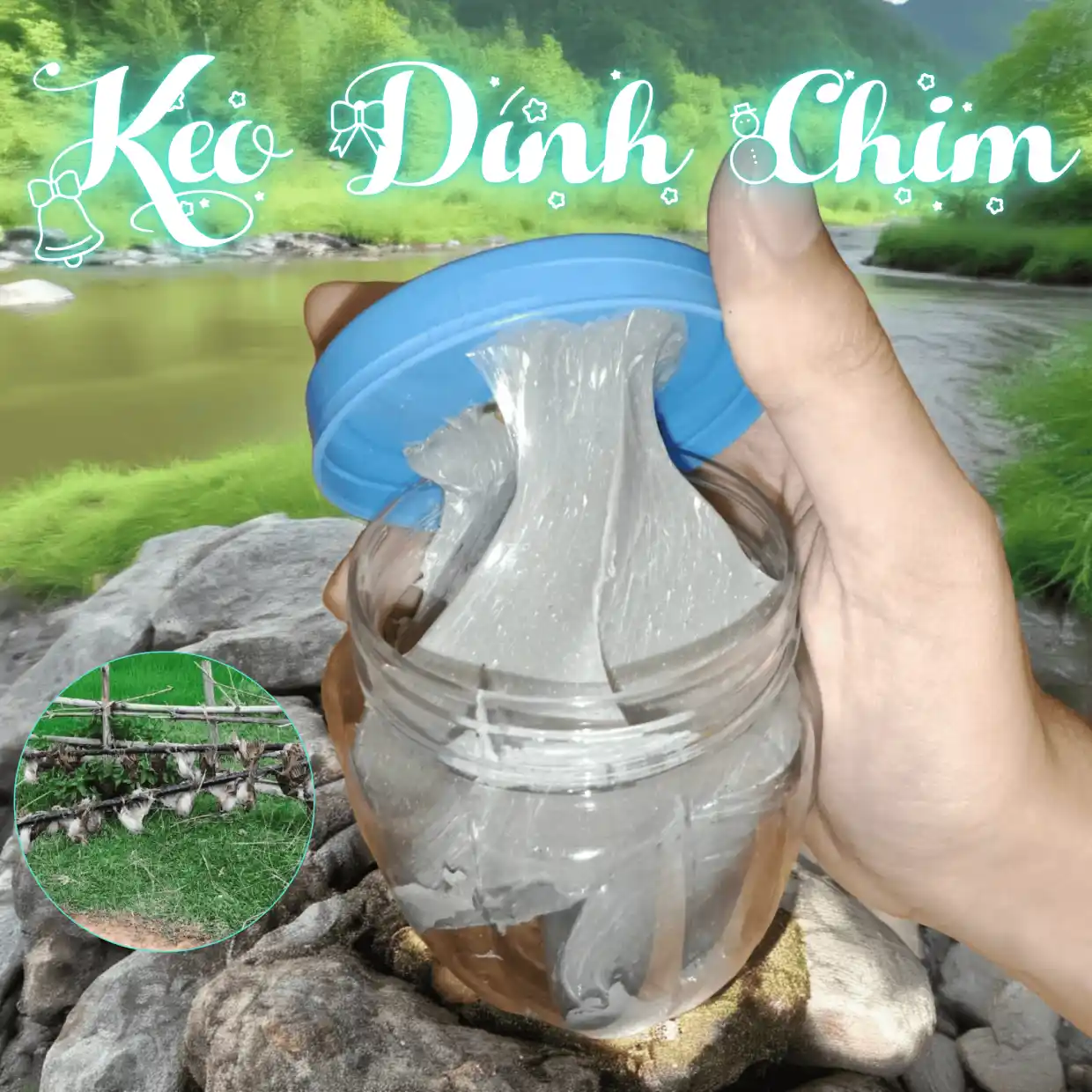 Keo dính chim cô đặc siêu dính, chuyên dùng để bẫy các loại chim sẻ, chào mào, cu gáy