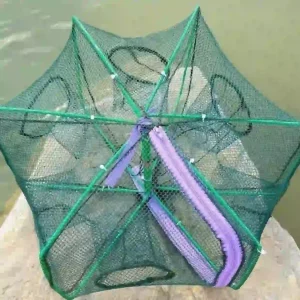 Lồng bát quái tự bung màu xanh, có trang bị khóa kéo lớn màu tím ở giữa để dễ dàng thu hoạch cá.