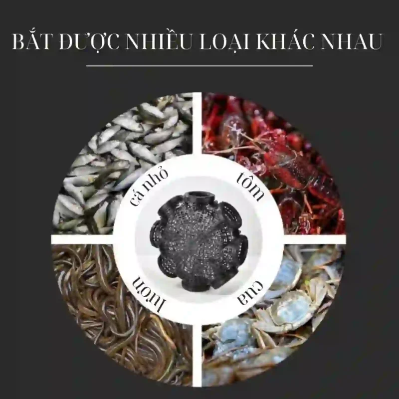 Lồng bẫy đa năng bằng nhựa màu đen, có khả năng bẫy được nhiều loại khác nhau như cá nhỏ, tôm, cua, và lươn.