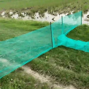 Lưới chắn cá được căng dài theo bờ ruộng, sẵn sàng dẫn dụ cá vào lồng bẫy.