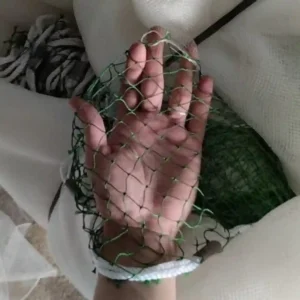 Cận cảnh kích thước mắt lưới kéo cá làm từ sợi dù màu xanh trên lòng bàn tay.