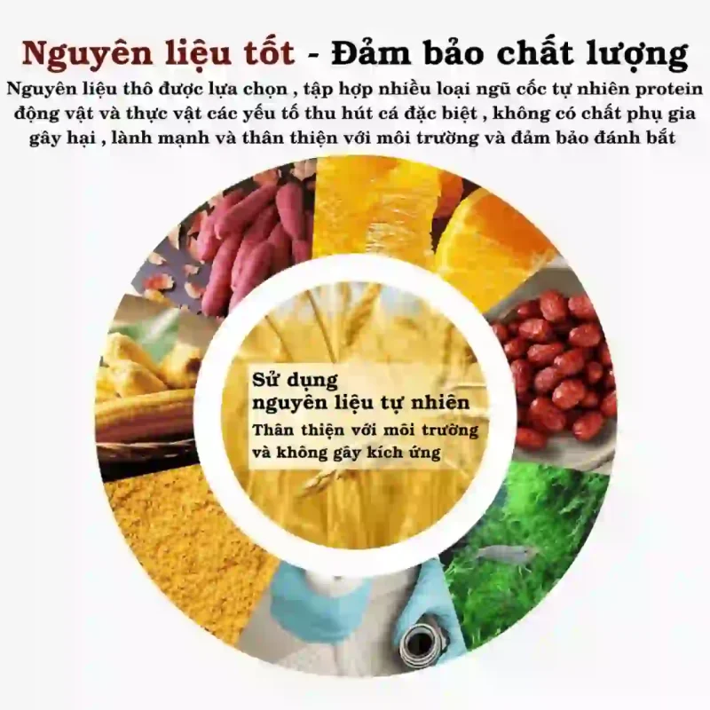 Đồ họa các nguyên liệu tự nhiên dùng để làm mồi bẫy cá, bao gồm ngũ cốc, protein động vật, thân thiện với môi trường.