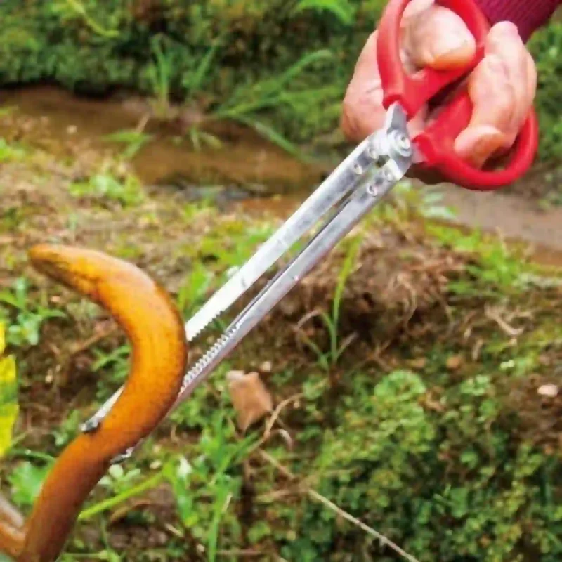 Một người đang dùng kẹp gắp để bắt một con lươn ở ngoài bờ ruộng.