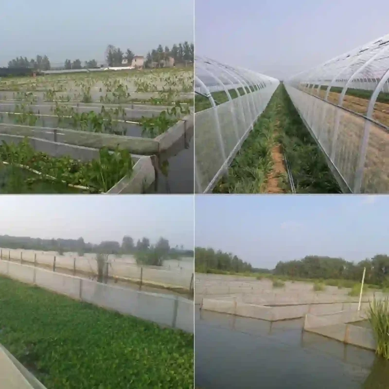 Các ứng dụng của lưới mùng trắng trong nông nghiệp và nuôi trồng thủy sản, bao gồm quây ao và làm nhà lưới.