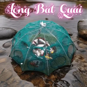 Lồng bát quái 8 cửa đang được đặt dưới suối, bên trong đầy ắp cá nhỏ, cho thấy hiệu quả bắt cá vượt trội