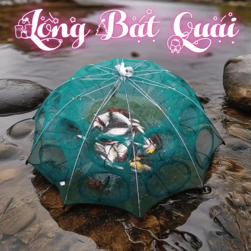 Lồng bát quái 8 cửa đang được đặt dưới suối, bên trong đầy ắp cá nhỏ, cho thấy hiệu quả bắt cá vượt trội