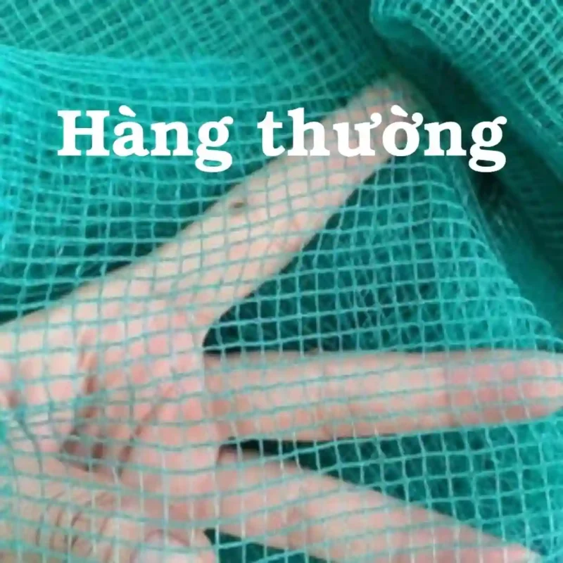 Tay đang giữ tấm lưới cước màu xanh loại thường, các mắt lưới có độ dày trung bình.