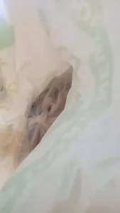 Chài Đĩa Bay Bắt Cá Hiệu Quả - Bung Tròn Tối Đa, Tăng Năng Suất