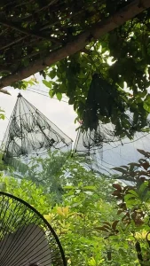 Lồng Bát Quái 8 Cửa (Lồng Ô) Bắt Cá, Tôm, Cua - Công Nghệ Thái Lan, Khung Thép Carbon Chống Gỉ, Siêu Bền