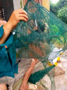 Lồng Bát Quái 8 Cửa (Lồng Ô) Bắt Cá, Tôm, Cua - Công Nghệ Thái Lan, Khung Thép Carbon Chống Gỉ, Siêu Bền