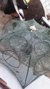 Lồng Bát Quái 8 Cửa (Lồng Ô) Bắt Cá, Tôm, Cua - Công Nghệ Thái Lan, Khung Thép Carbon Chống Gỉ, Siêu Bền