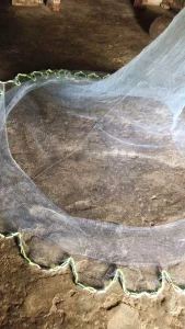 Chài Cước Mắt Lưới 1.5cm - Chuyên Dụng Bắt Tôm, Tép, Tận Thu Thủy Sản