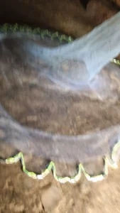 Chài Cước Mắt Lưới 1.5cm - Chuyên Dụng Bắt Tôm, Tép, Tận Thu Thủy Sản