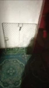 Lồng Bẫy Gà Siêu Nhạy - Mẹt Bẫy Gà, Bìm Bịp, Cò, Quốc "Đặt Là Dính"