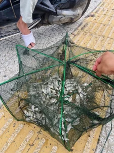 Lồng Bát Giác Thông Minh Thế Hệ Mới - Thiết Kế Gấp Gọn, Đa Năng Bắt Tôm Cua Cá