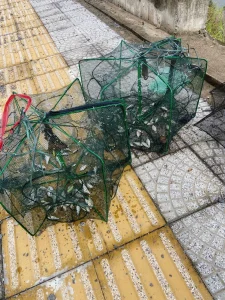 Lồng Bát Giác Thông Minh Thế Hệ Mới - Thiết Kế Gấp Gọn, Đa Năng Bắt Tôm Cua Cá