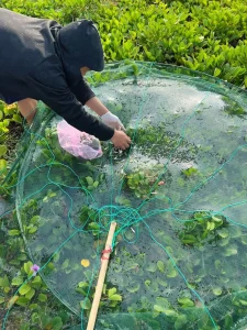 Vó Tròn 2 Tầng Siêu Bền - Khung Thép Cacbon, Lưới Cước Dai Chắc