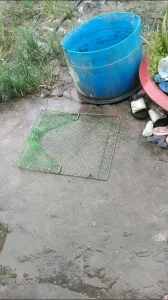 Lồng Bẫy Gà Siêu Nhạy - Mẹt Bẫy Gà, Bìm Bịp, Cò, Quốc "Đặt Là Dính"