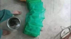 Lồng Bát Quái Tận Thu Cá Tôm - Mắt Lưới Siêu Nhỏ, Tăng Năng Suất Đánh Bắt